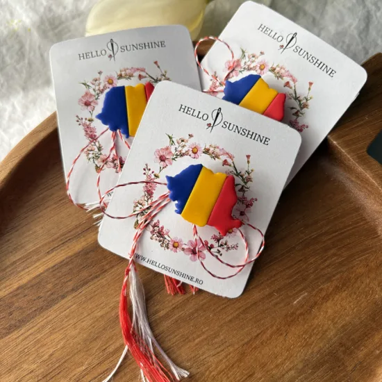 Broșă Harta României